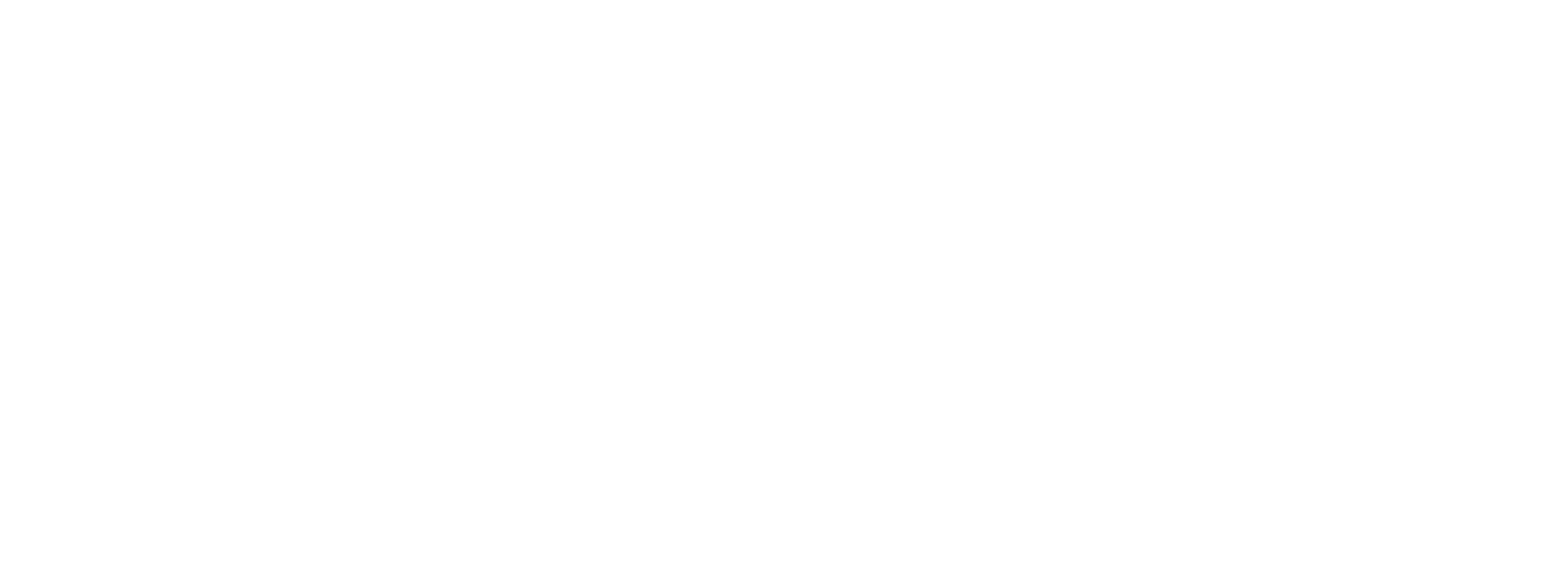 New Jersey CC logo in White